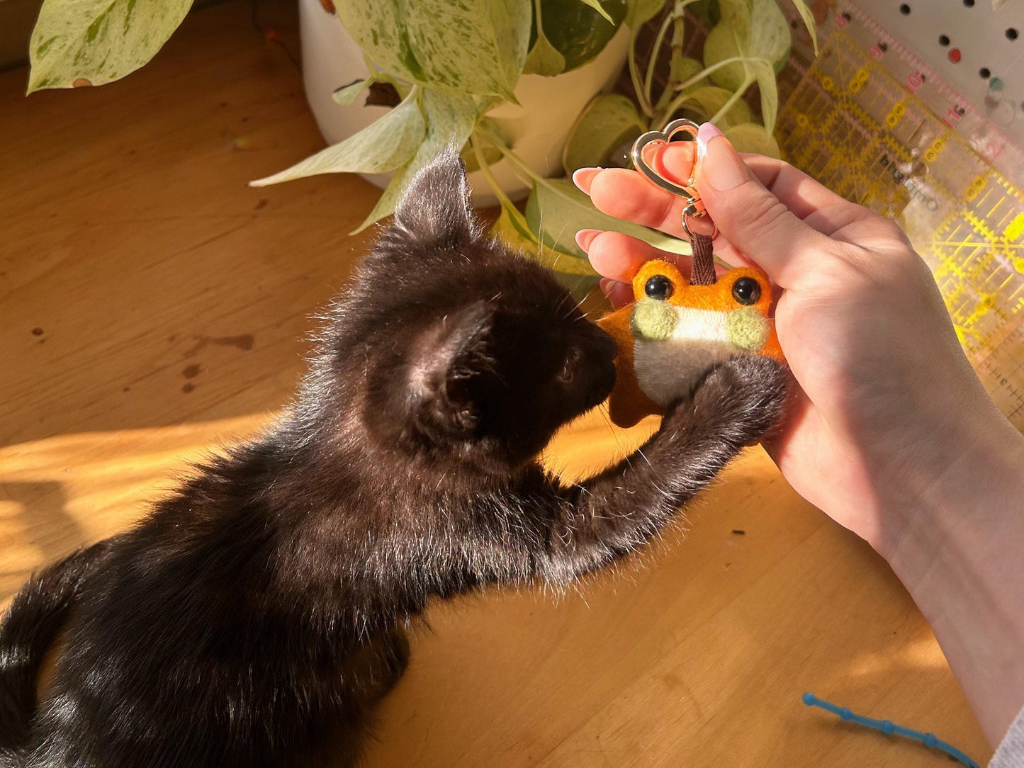 Dandelion the Pocket Frog Keychain