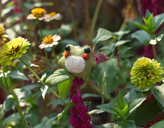 Twig the Pocket Frog