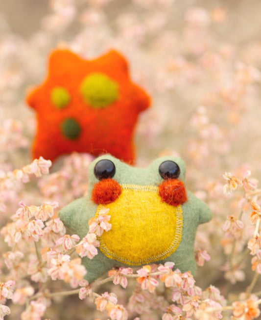 Sage the Pocket Frog