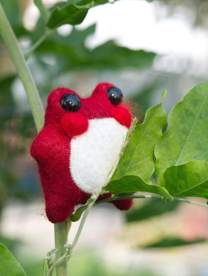 Pixie the Mushroom Pocket Frog