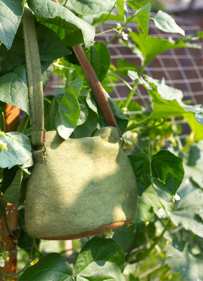 Lily the Frog Princess Purse