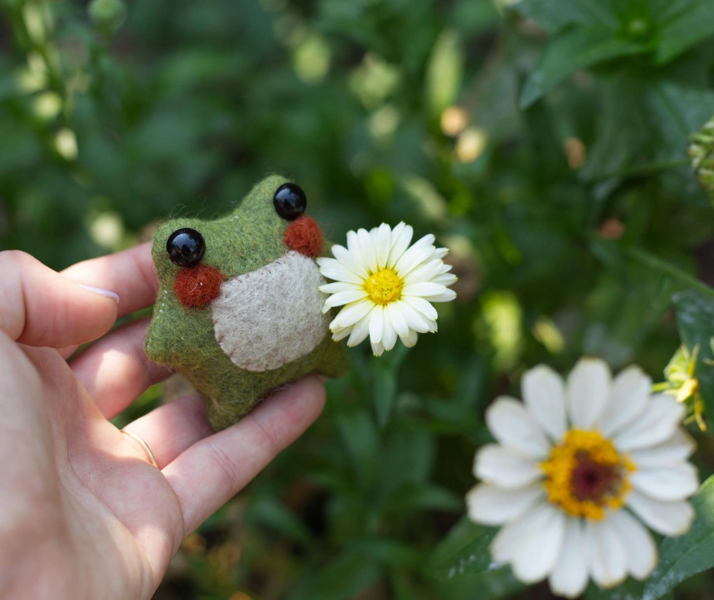 Twig the Pocket Frog