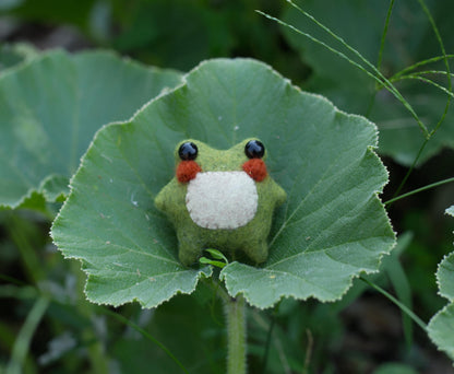 Twig the Pocket Frog