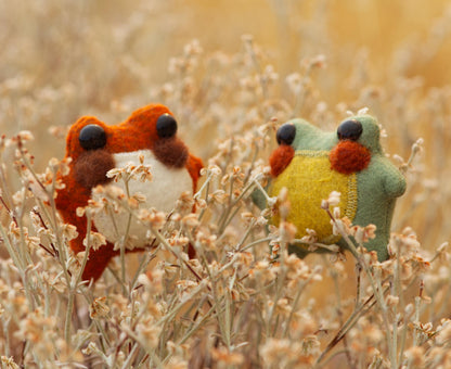 Pumpkin the Pocket Frog