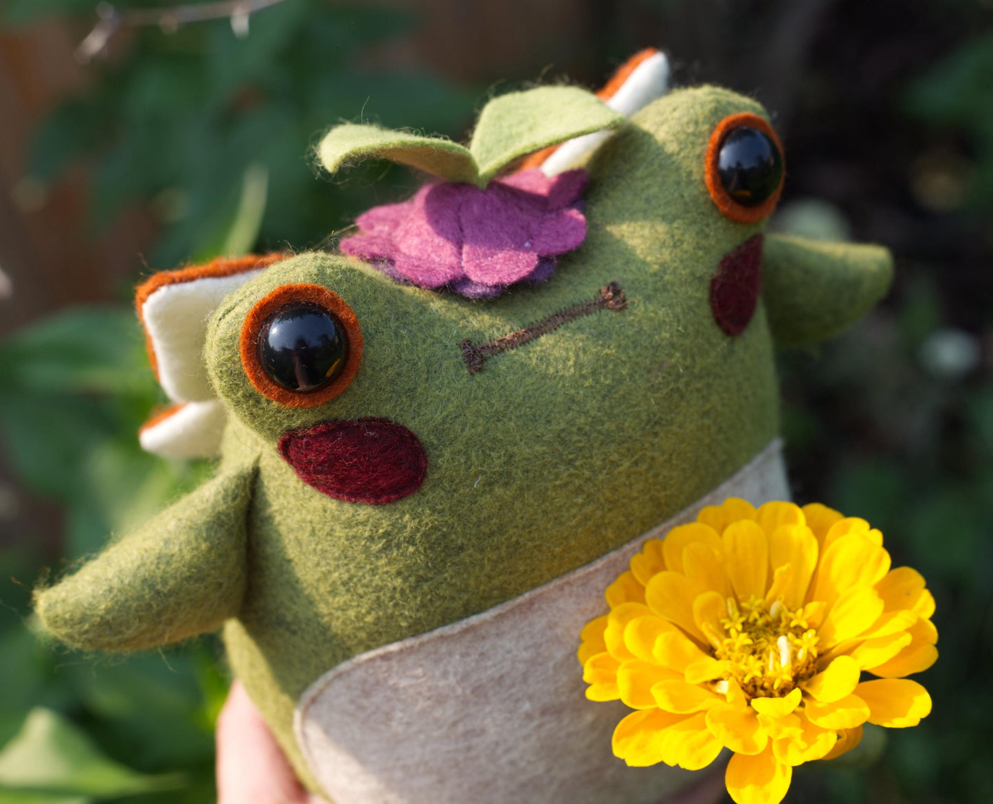 Pip the Fairy Frog