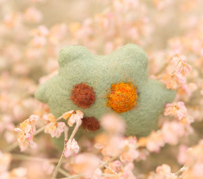 Sage the Pocket Frog