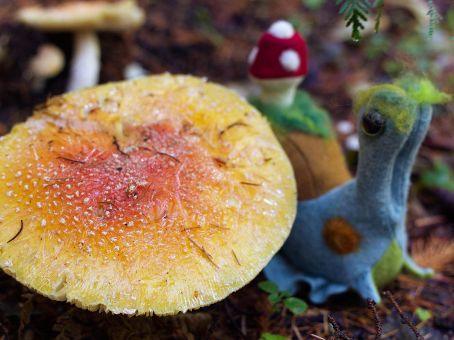 Milo the Mushroom Forest Snail