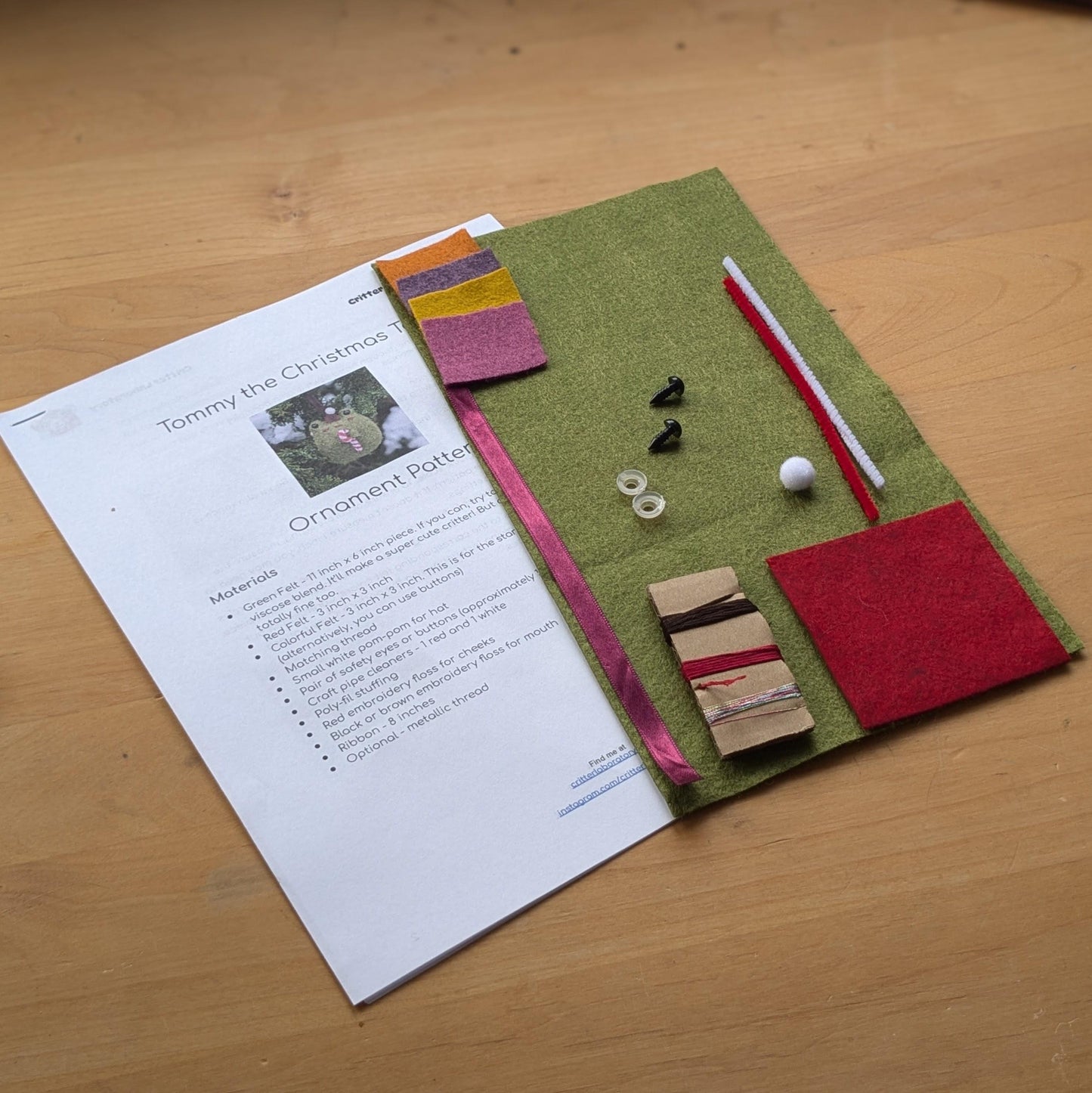 Tommy Toad Ornament Kit