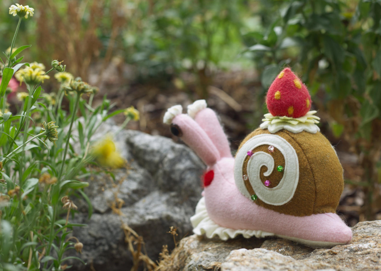 Madeline the Strawberry Swirl Snail