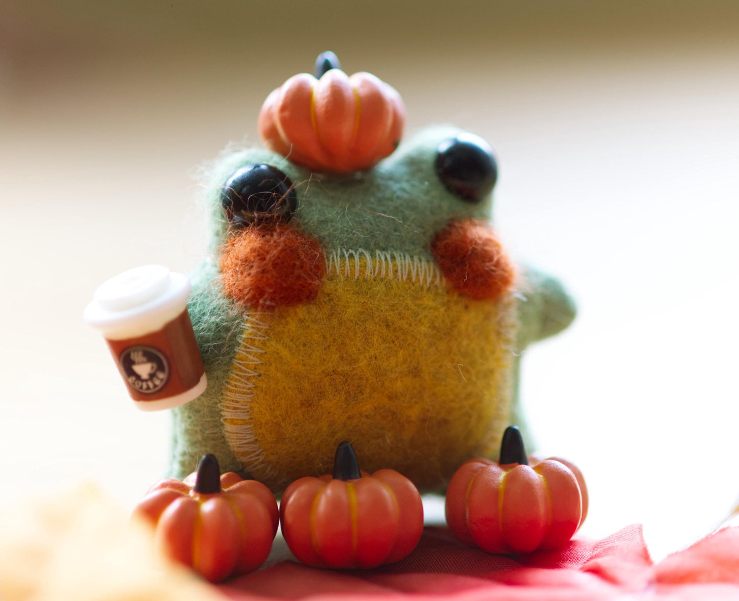 Sage the Pocket Frog