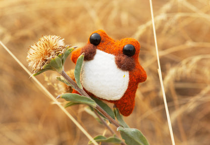 Pumpkin the Pocket Frog