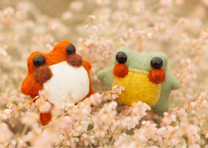 Pumpkin the Pocket Frog