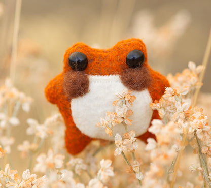 Pumpkin the Pocket Frog