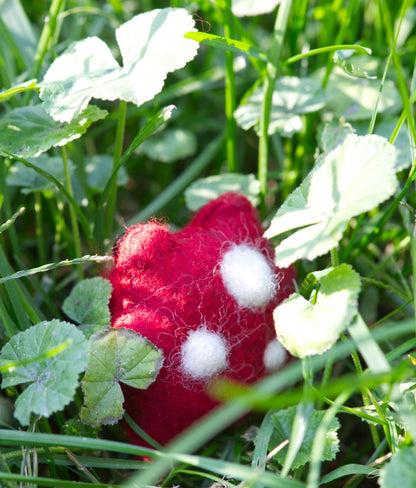 Pixie the Mushroom Pocket Frog