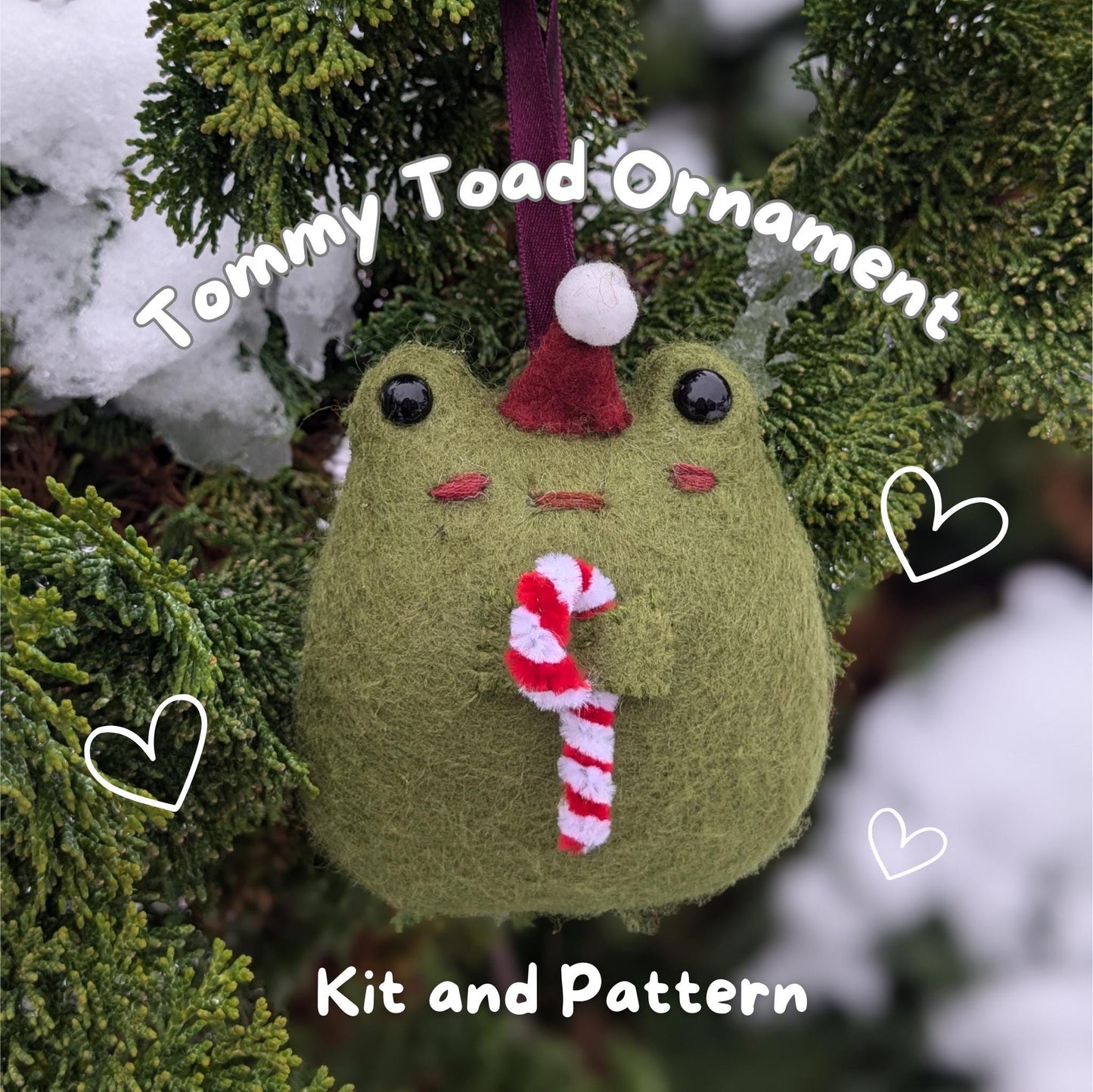 Tommy Toad Ornament Kit