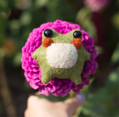 Twig the Pocket Frog