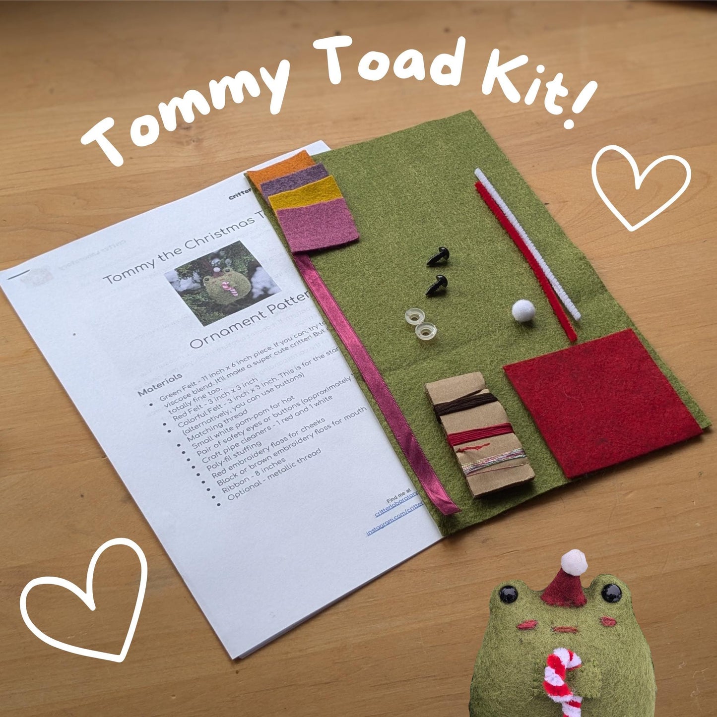 Tommy Toad Ornament Kit