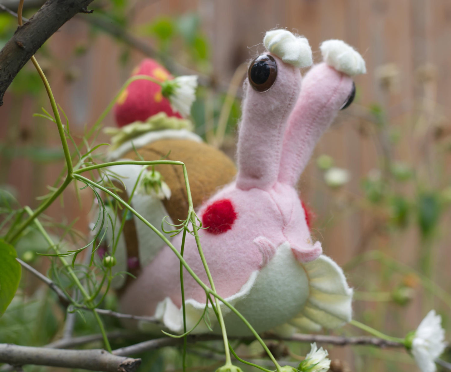 Madeline the Strawberry Swirl Snail