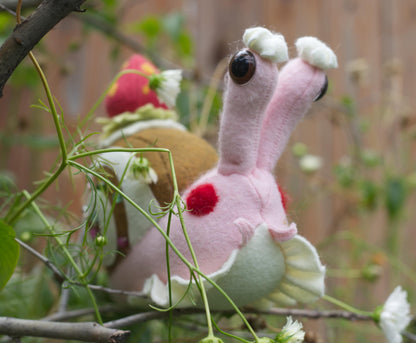 Madeline the Strawberry Swirl Snail