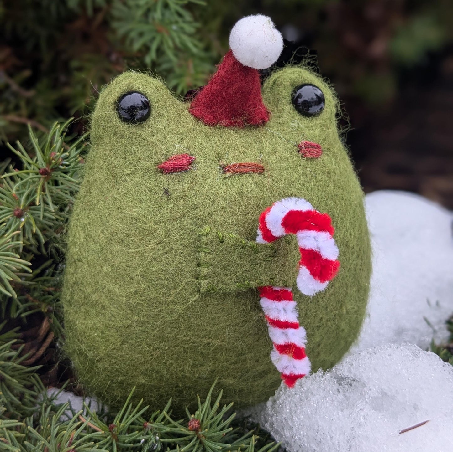 Tommy Toad Christmas Ornament