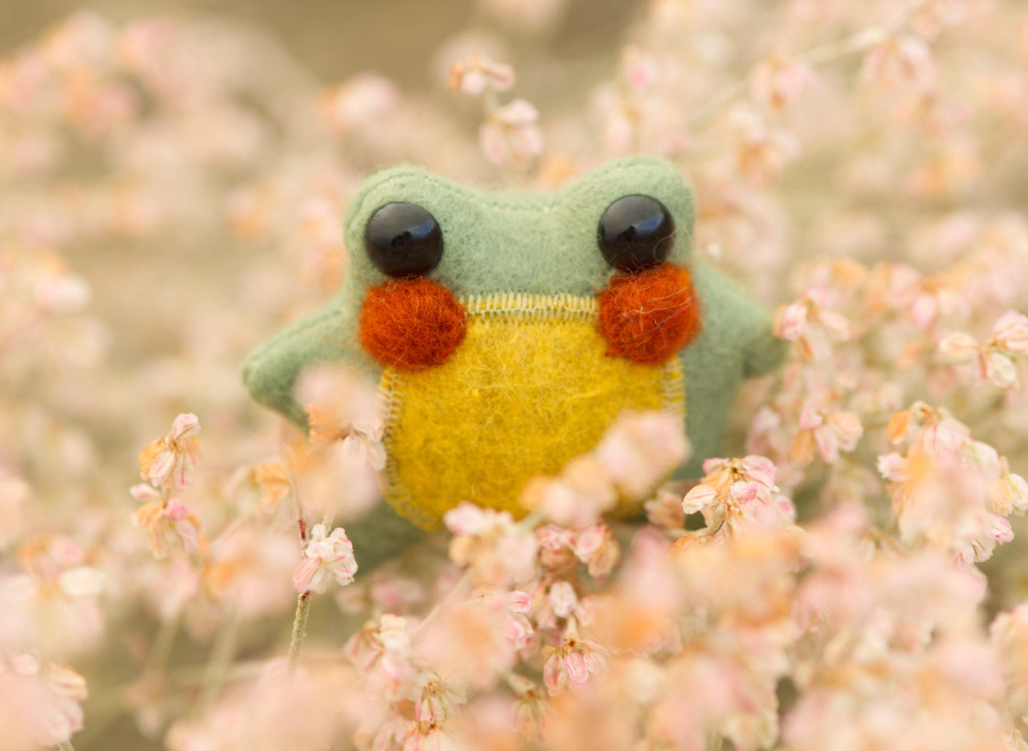 Sage the Pocket Frog