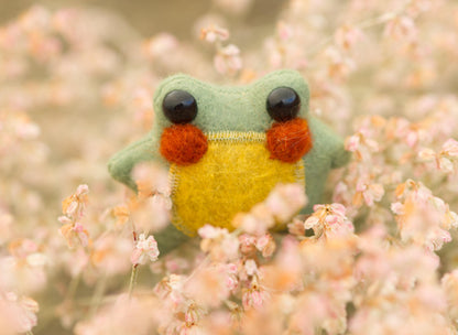 Sage the Pocket Frog