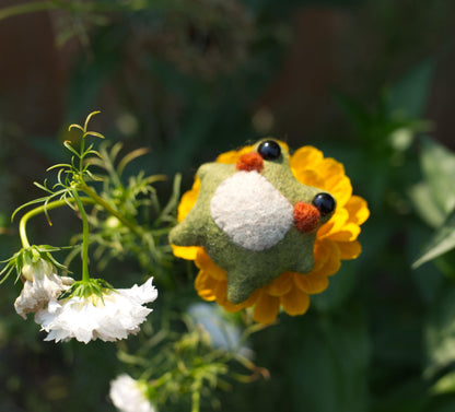 Twig the Pocket Frog