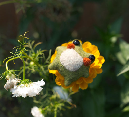 Twig the Pocket Frog