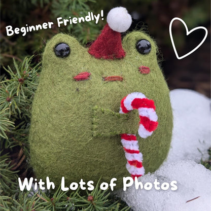 Tommy Toad Ornament Kit