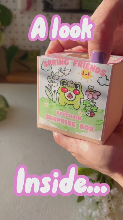 Spring Edition Pocket Frog Keychain Blind Box
